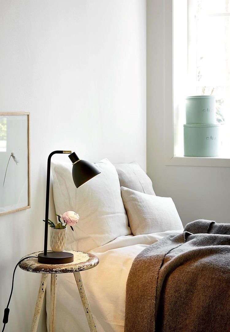 img 7743 1